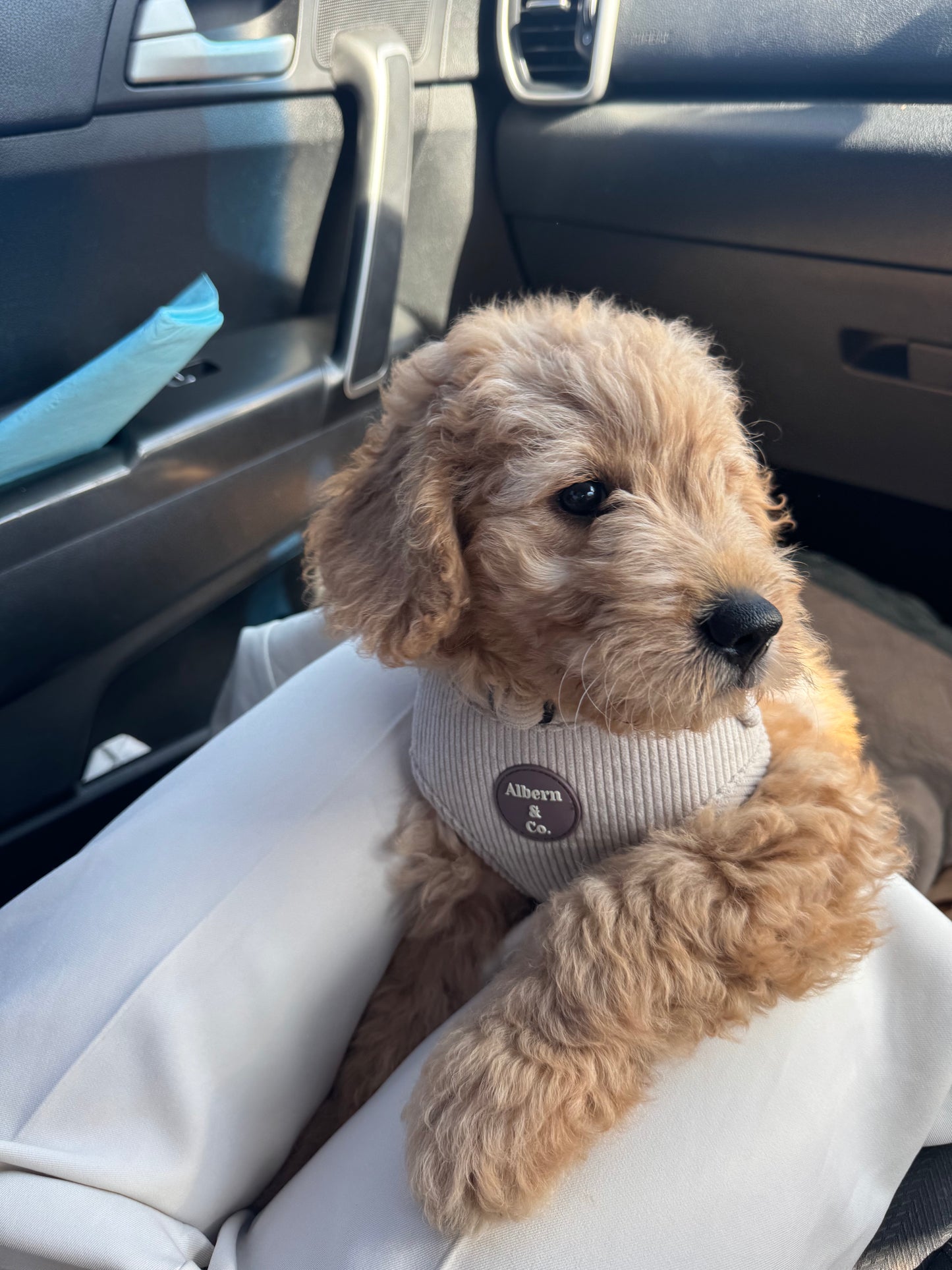 CORDUROY ESSENTIALS BUNDLE