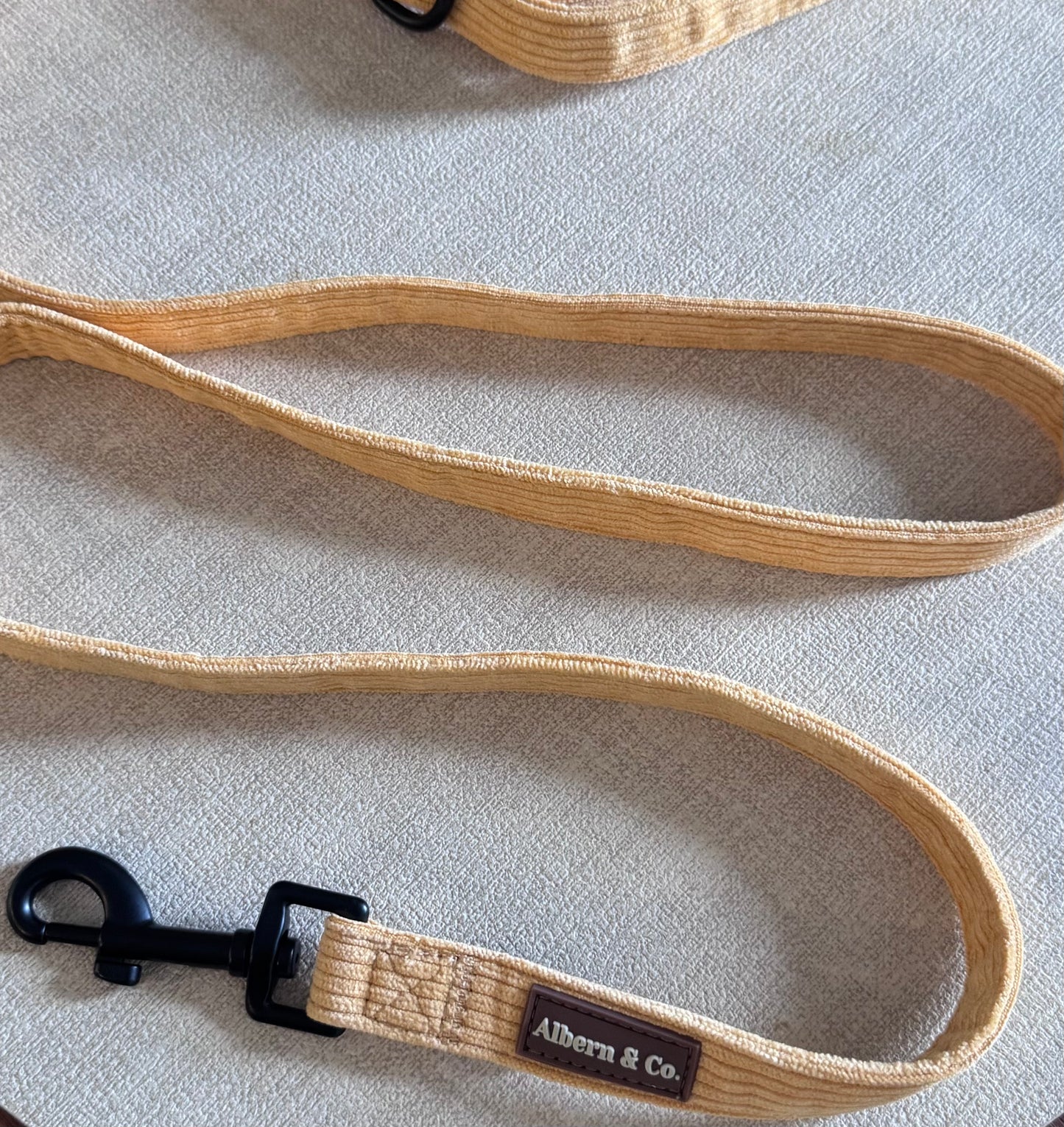 Dog Leash