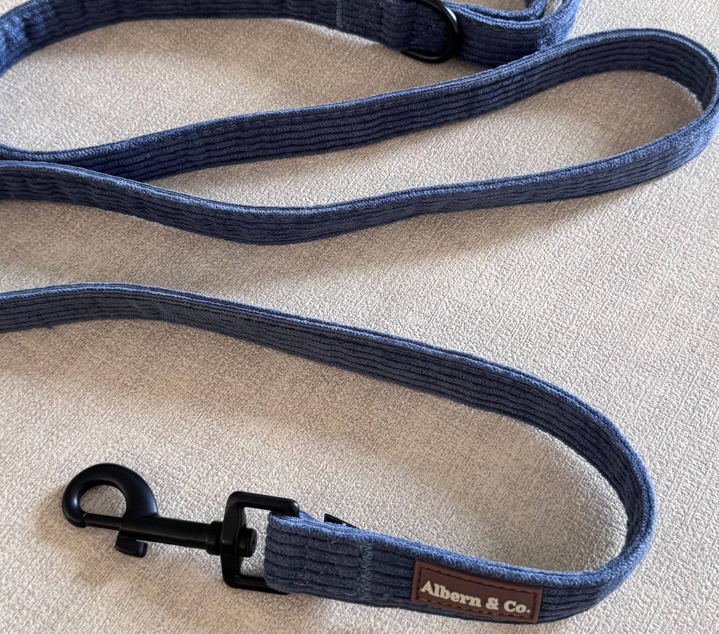 Dog Leash