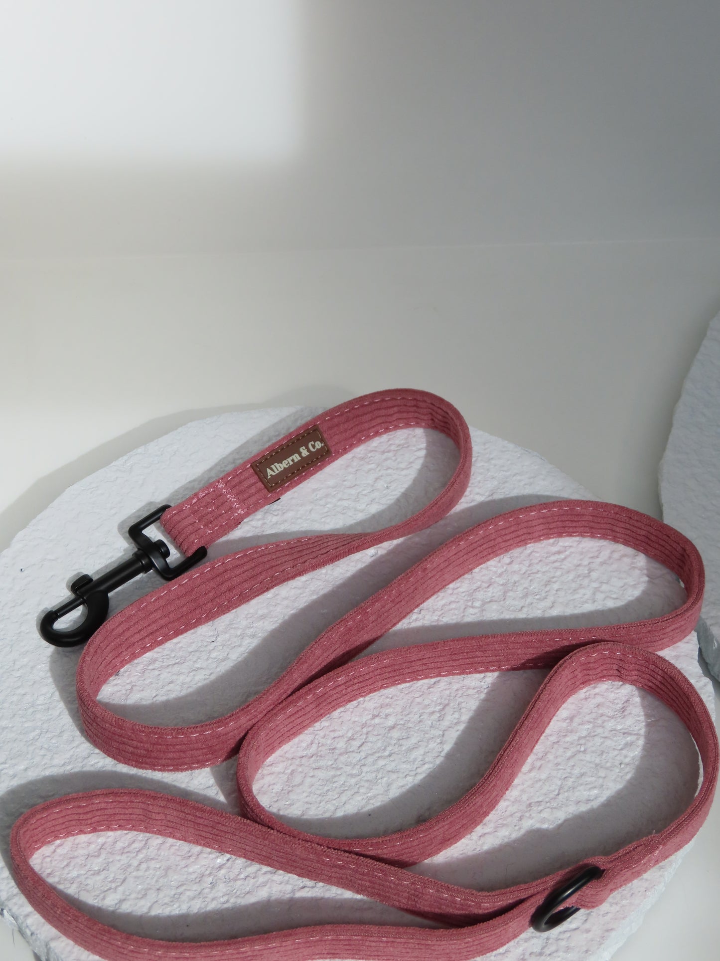 LEASH
