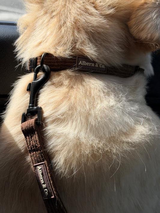 COLLAR