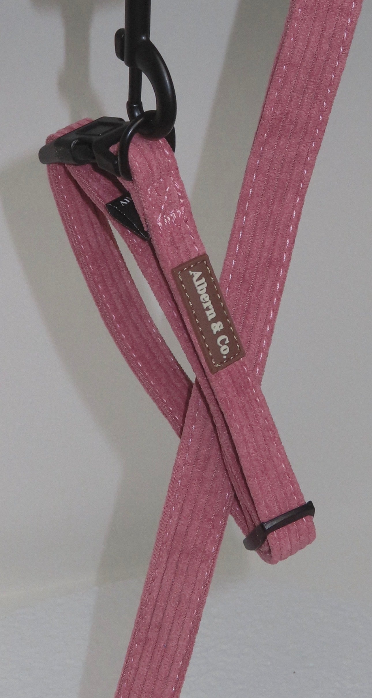 Dog Collar
