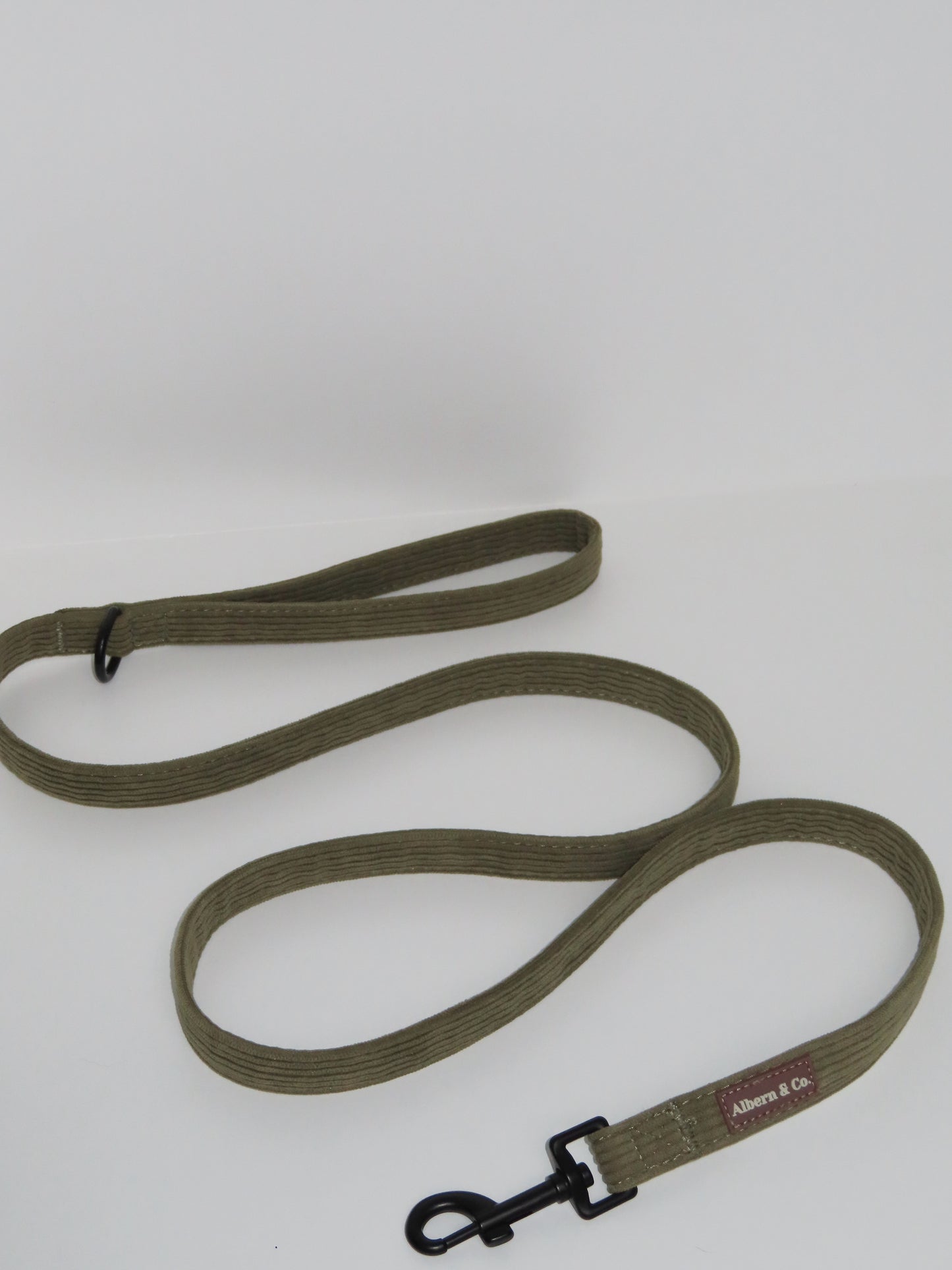 LEASH
