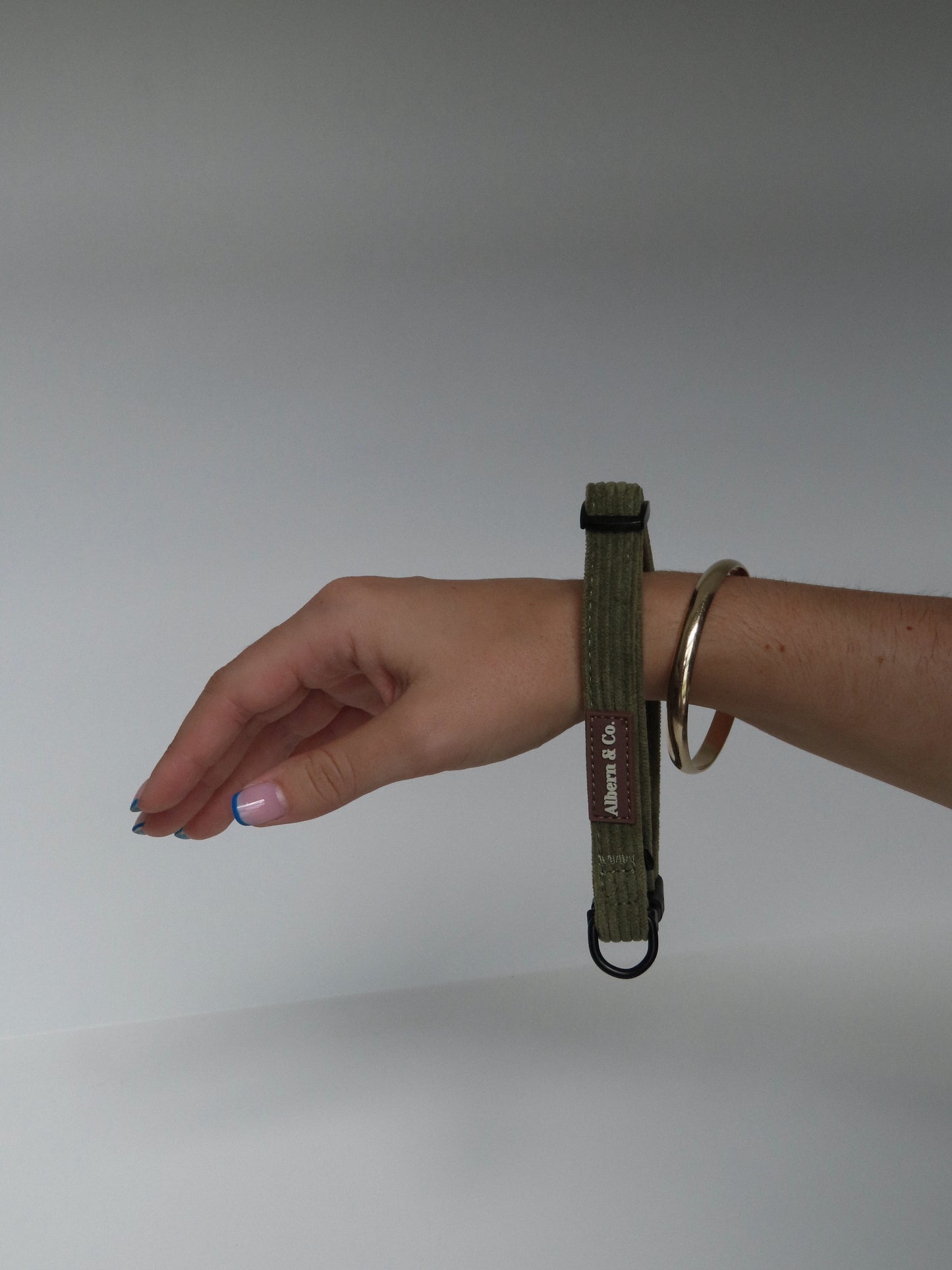Dog Collar